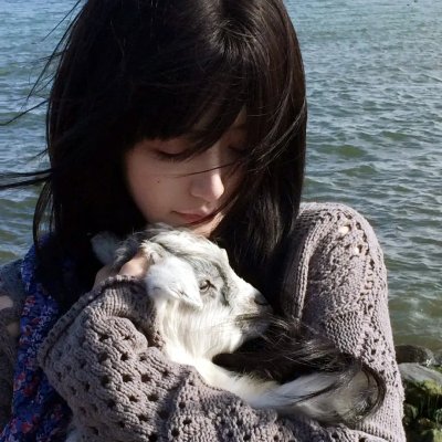 牛郎血泪美人恩